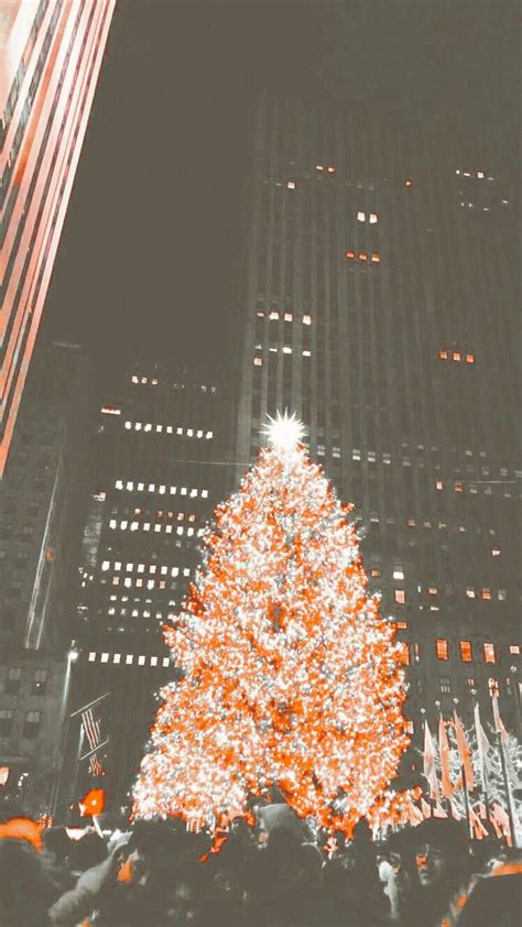 Not My Pic Just Edited By Me Charlottesophiaxxx Christmas