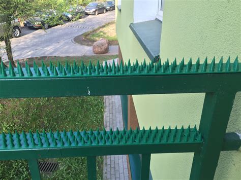 Защита от птиц на крыше 85 фото