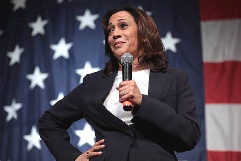 Kamala Harris lidera sobre Trump en campaña presidencial