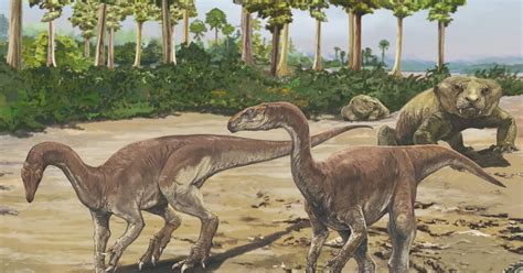 Species New To Science Paleontology • 2018 Bagualosaurus Agudoensis