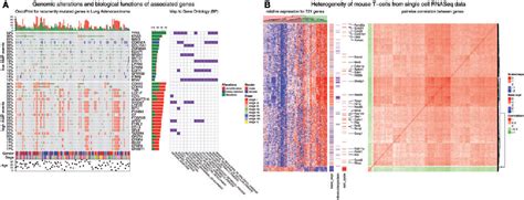 Pdf Complex Heatmaps Reveal Patterns And Correlations In