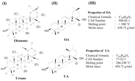 I Structure Of Oleanane And Ursane II Chemical Structure Of