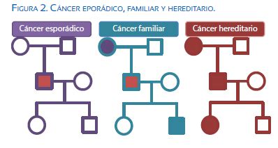 cancer ginecologico hereditario en la era de la medicina genomica