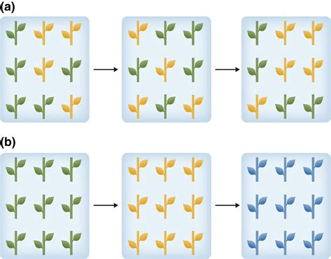 Origin And Evolution Of The Plant Immune System Han 2019 New