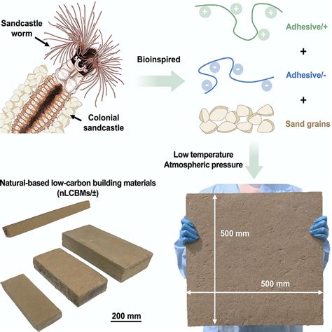 Chinese Scientists Develop Worm Inspired Low Carbon Building Material