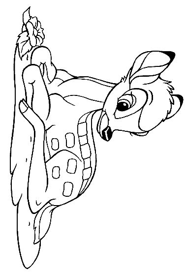 Drawing 5 From Bambi Coloring Page