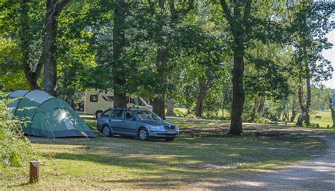 New Forest Camping - Life in The New Forest