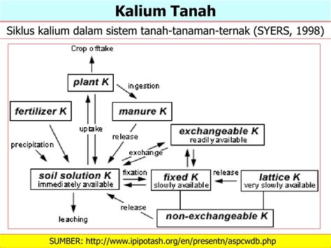 Ppt Dinamika Kalium Dalam Tanah Powerpoint Presentation Free