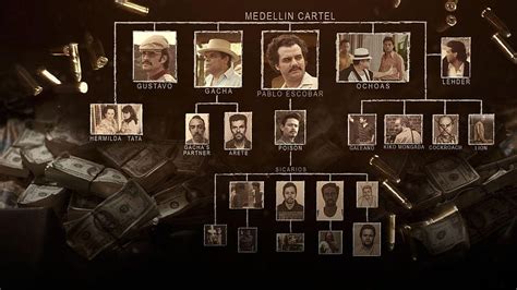 X Px Narcos Kb Narcos Season Hd Wallpaper Pxfuel