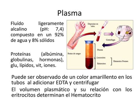 Histolog A M Dula Sea Y Sangre Ppt