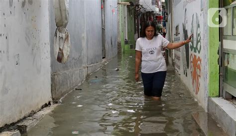 Banjir Rob Enam Rt Dan Dua Ruas Jalan Di Jakarta Utara Terendam Air