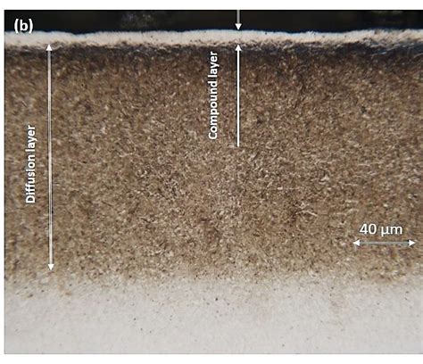 Cross Sectional Sem And Om Micrographs Of Samples A S 2 And B S 5