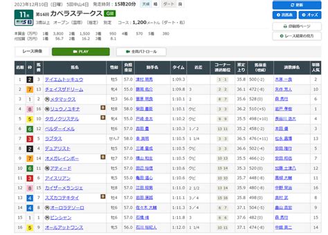 20231210オペラs結果（テイエムトッキュウ勝利）｜ニコすみ