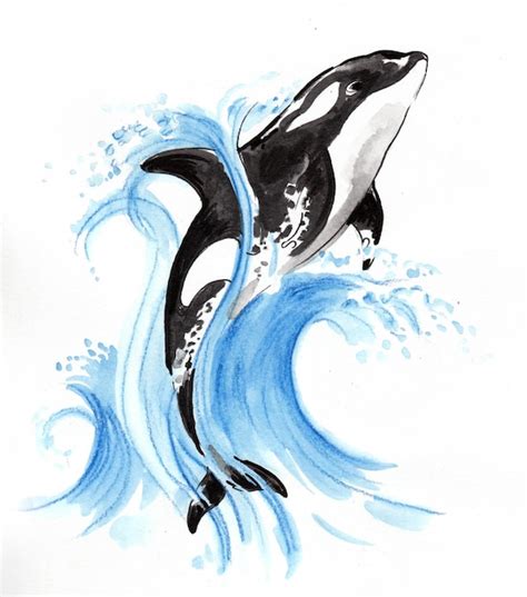 Premium Photo | Jumping killer whale and blue water. Ink and watercolor drawing