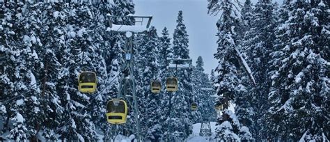 Jewel In Crown Gulmarg Gondola Soars High Earns Rs 108 Cr Hosts