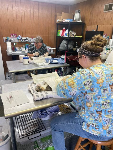 oak valley animal hospital 7