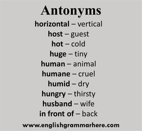 Antonyms Examples 100 English Antonym Opposite Words List English Grammar Here