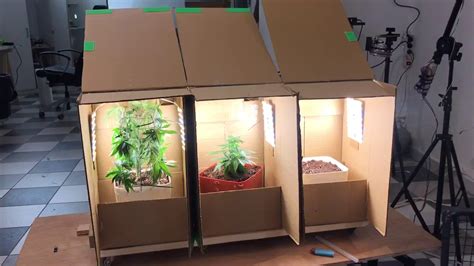 Экобокс для выращивания растений - фото