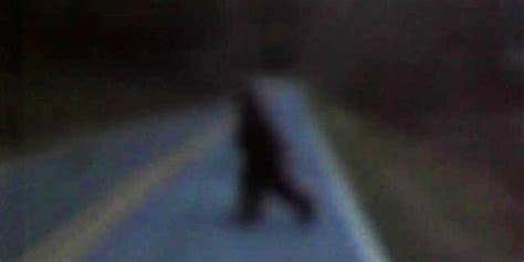 In North Carolina Bigfoot Crossed The Road Fox News