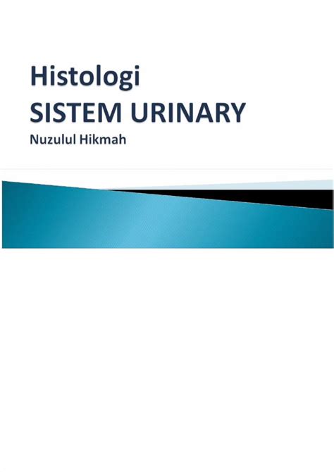 PDF Histologi Sistem Urinalis DOKUMEN TIPS