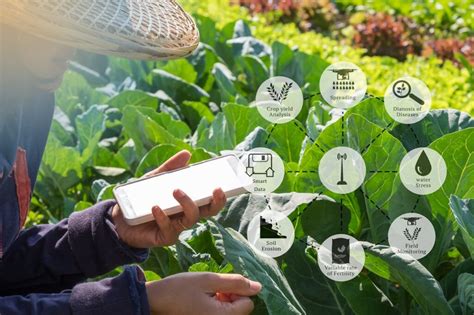 The Revolution Of Artificial Intelligence In Agriculture