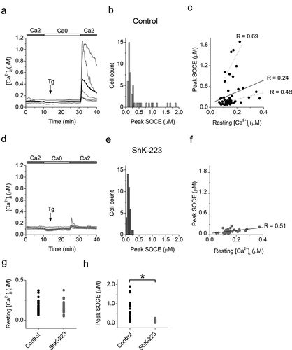 Full Article Kv1 3 Inhibition Attenuates Neuroinflammation Through