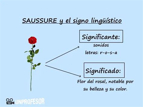 Cu L Es La Diferencia Entre Significado Y Significado Haras Dadinco