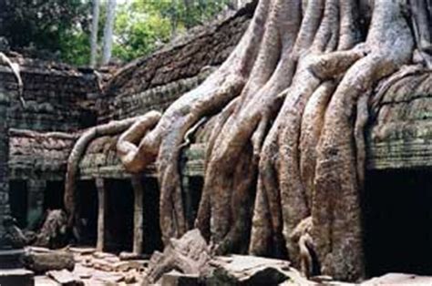 Temples Of Angkor Camping Safari Temples Religion Cambodia