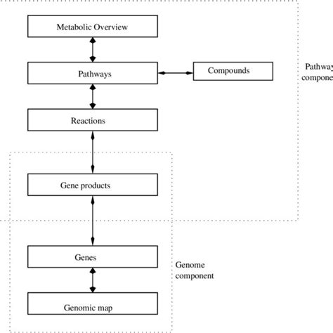 3 Glycolysis Pathway In Kegg Showing Matches With That In Metacyc In Download Scientific