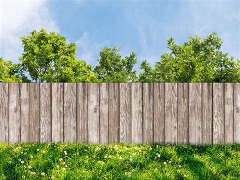 Wooden Garden Fence At Backyard Green Grass And Blue Sky With White