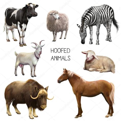 Group of hoofed animals Stock Photo by ©artnature 91750858