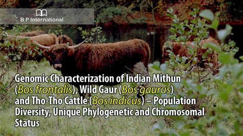 Genomic Characterization Of Indian Mithun Bos Frontalis Wild Gaur