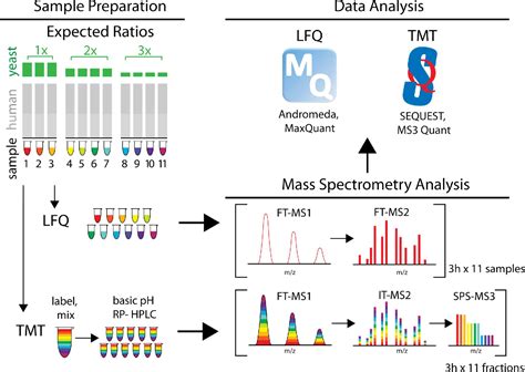 Figure 1 From Proteome Wide Evaluation Of Two Common Protein