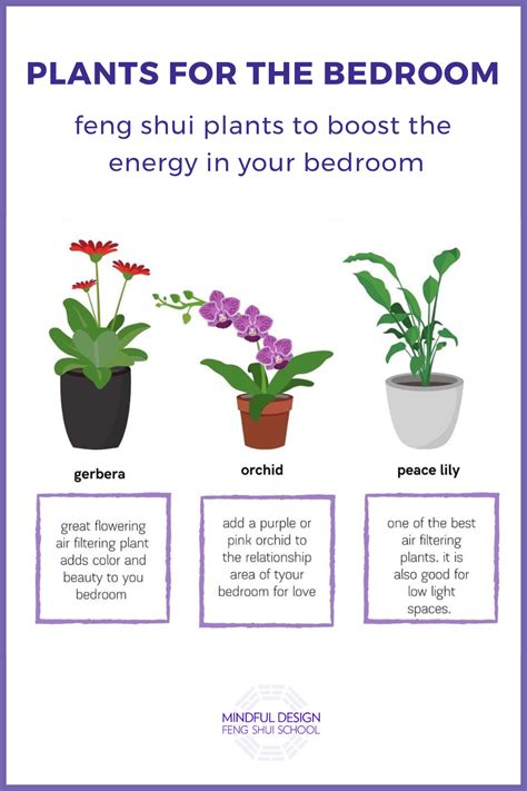 Feng shui plants to boost the energy in your bedroom mindful design feng shui school – Artofit