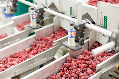 Usine de transformation alimentaire Région de Québec LaVitrine biz