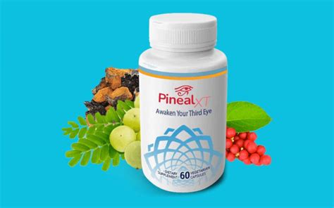 Pineal XT Review The Latest Research The Daily World