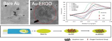 precision phenylalanine sensing  blood  nanomaterial enhanced