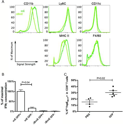 Phenotypic Characterization Of Ccr Expressing Infdcs And Their