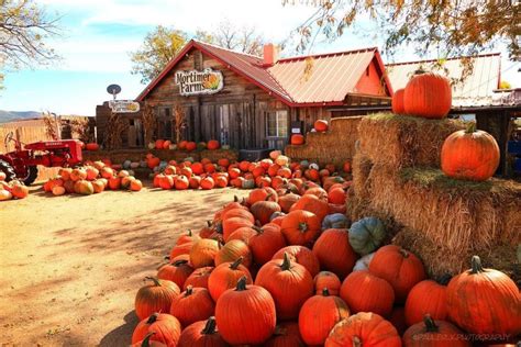 Arizona's Fall Events and Festivals | Visit Arizona