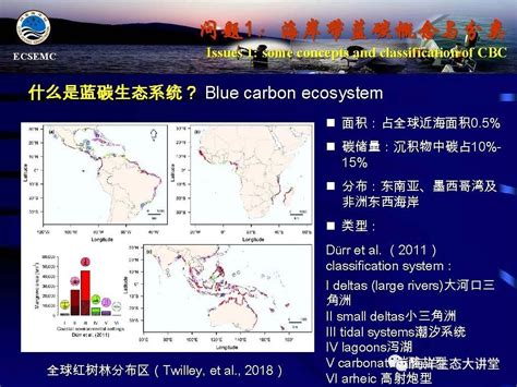 关于中国海岸带蓝碳研究的三大基础问题