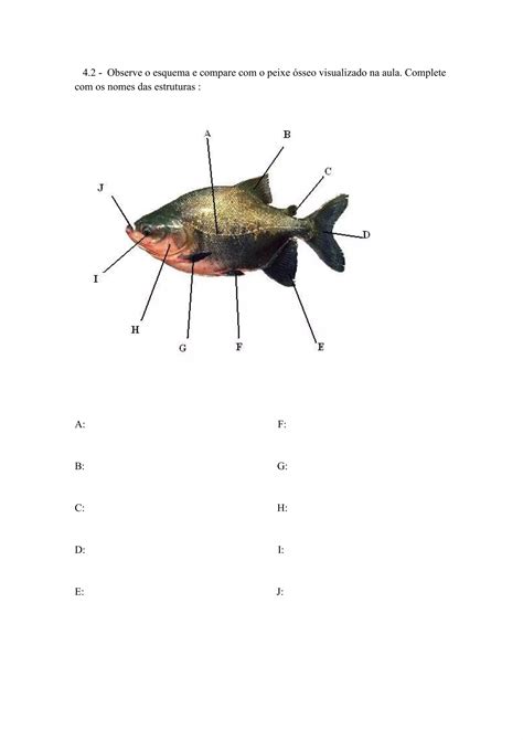 Roteiros De Aulas Práticas Roteiro 1 Microscópio óptico Pdf