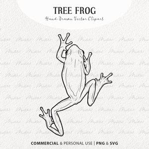 Tree Frog Svg Clipart Bundle Frog Vector Drawings Green Etsy