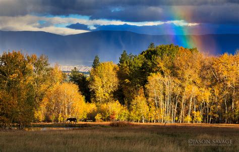 Montana's Bitterroot Valley | Jason Savage Photography