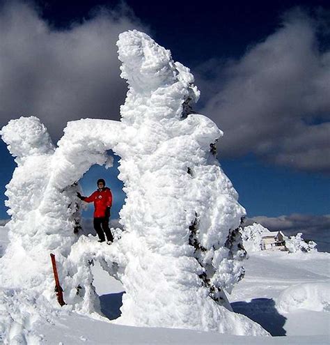 Ultimate doughnut on Mount Spokane : Photos, Diagrams & Topos : SummitPost