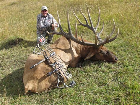 COLORADO TROPHY ELK HUNTS AT BULL BASIN RANCH COLORADO TROPHY BULL ELK HUNTS 400 inch elk SCI ...