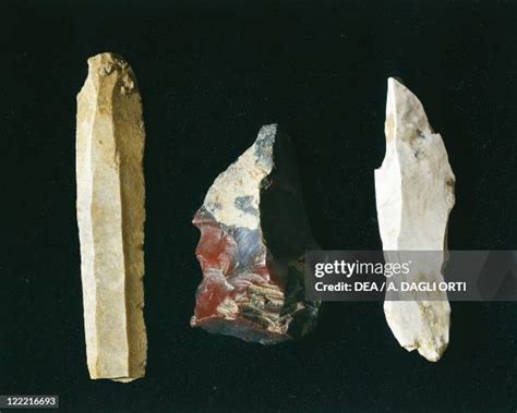 Paleolithic Tools Photos and Premium High Res Pictures - Getty Images