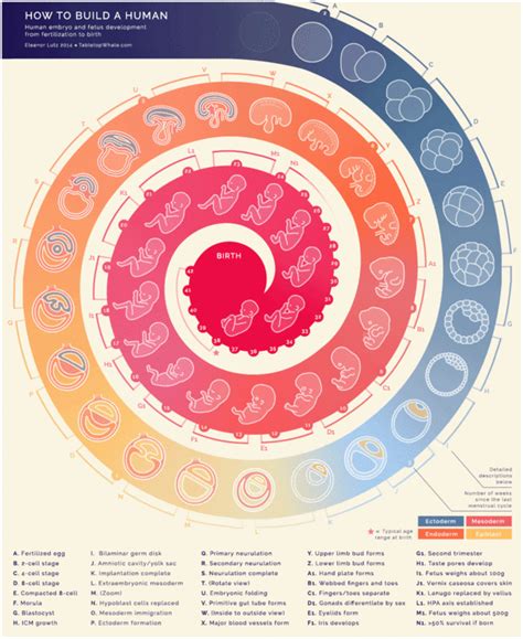 Data Visualization Design Techniques And Examples Laptrinhx