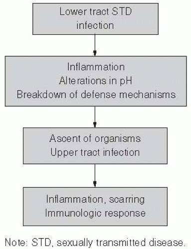 Sexually Transmitted Diseases Oncohema Key