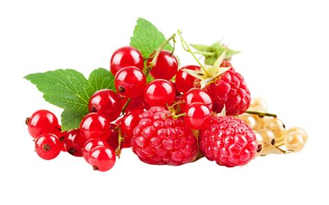 Berry Png Transparent Background 29228715 Png