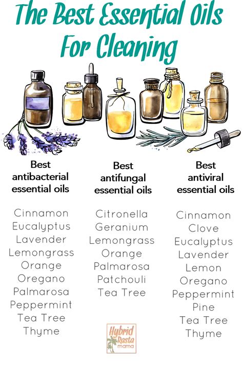 Cleaning With Essential Oils – Which To Use and How To Use Them